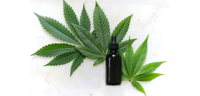 What is CBD Oil?